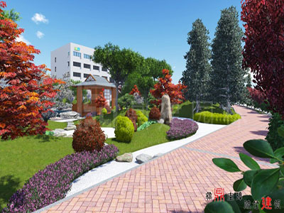 迪愛生辦公區(qū)景觀