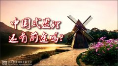 中國(guó)式監(jiān)理，還有前途嗎？