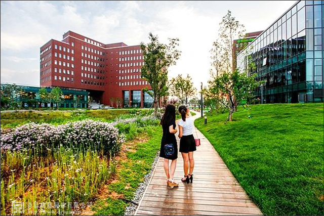 1508465417269010128.jpg 1508465417269010128.jpg